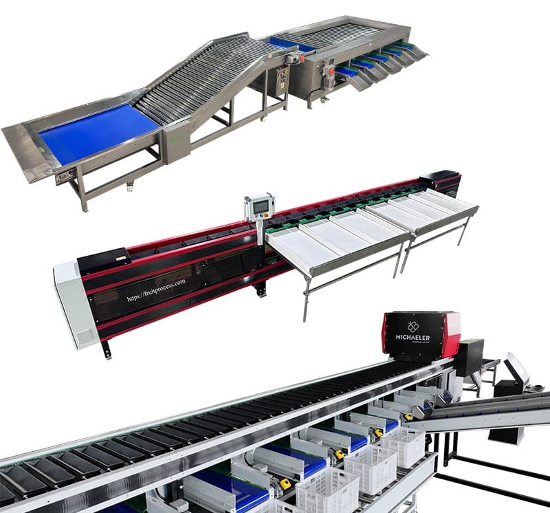 images/1742798478088sweet potato sorting grading line.jpg
